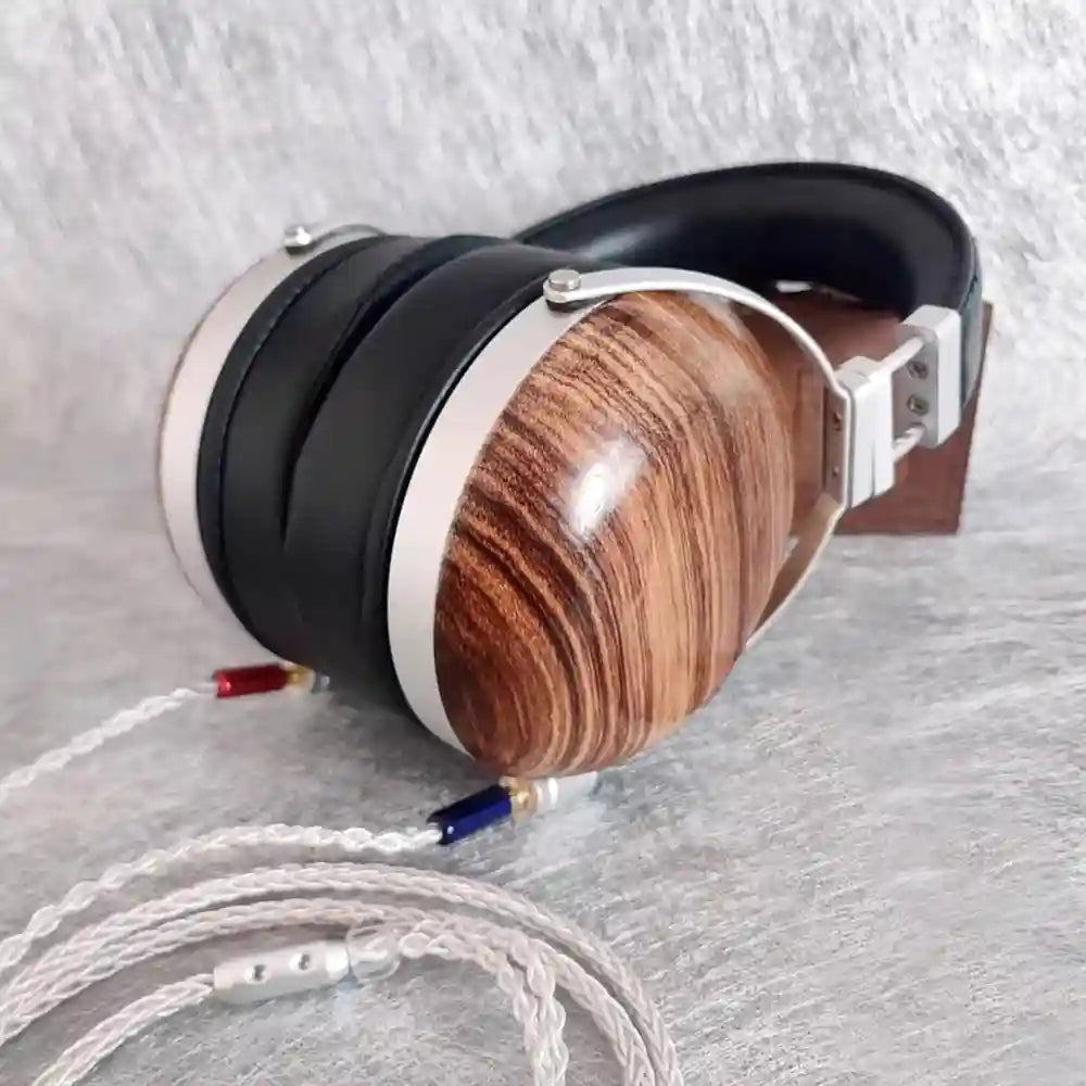 Closed Back Headphones 80mm Coaxial Driver Studio Monitor Tidesmit