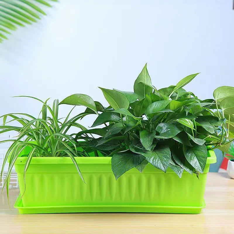 Green rectangular plastic vegetable planter with bushy leafy plants