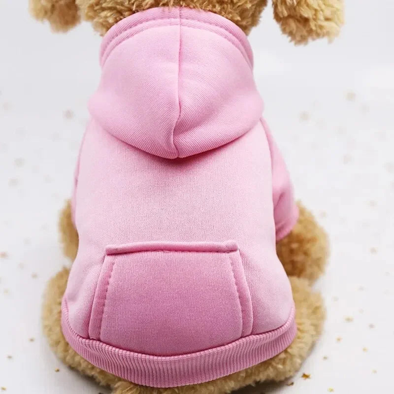 Cute small dog wearing a thick pink hooded sweater. Warm casual pet clothing for autumn and winter comfort.