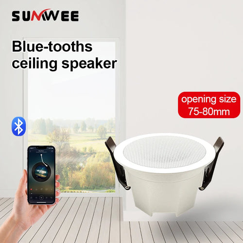 White round flush-mount ceiling Bluetooth speaker with perforated grille and mounting clips