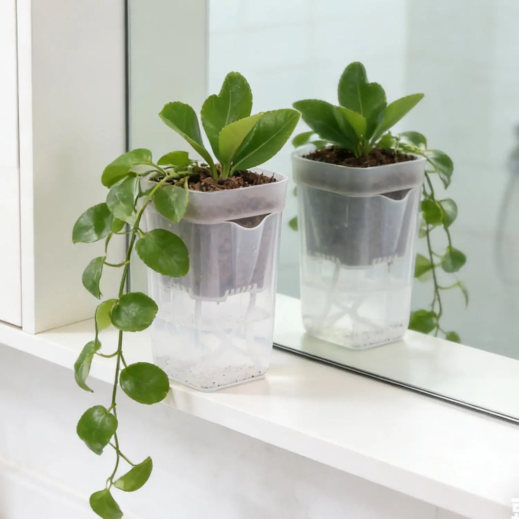 Double Layer Self Watering Planter Drainage Holes Flower Plant Pot Clear Seedling Propagation Container Desktop Garden Supplies