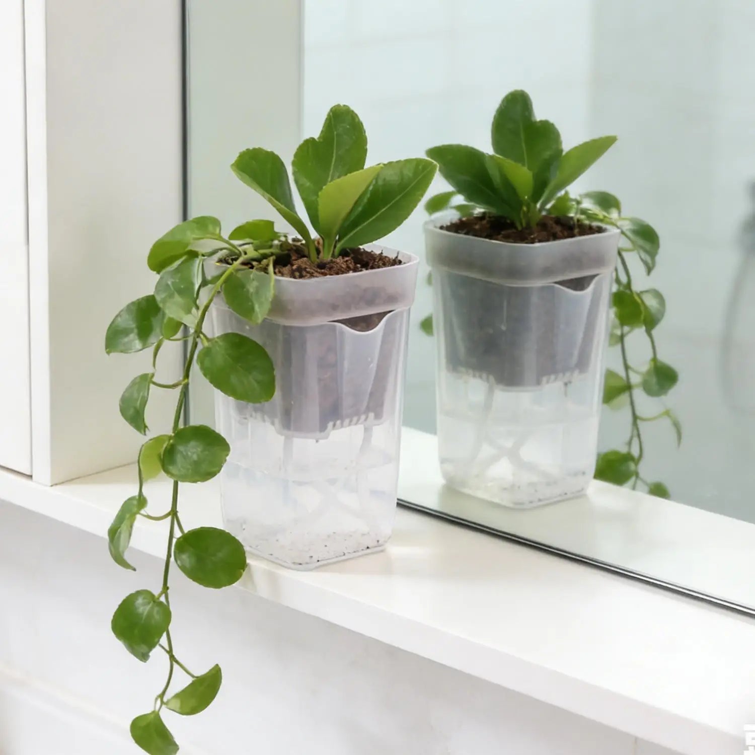 Double Layer Self Watering Planter Drainage Holes Flower Plant Pot Clear Seedling Propagation Container Desktop Garden Supplies