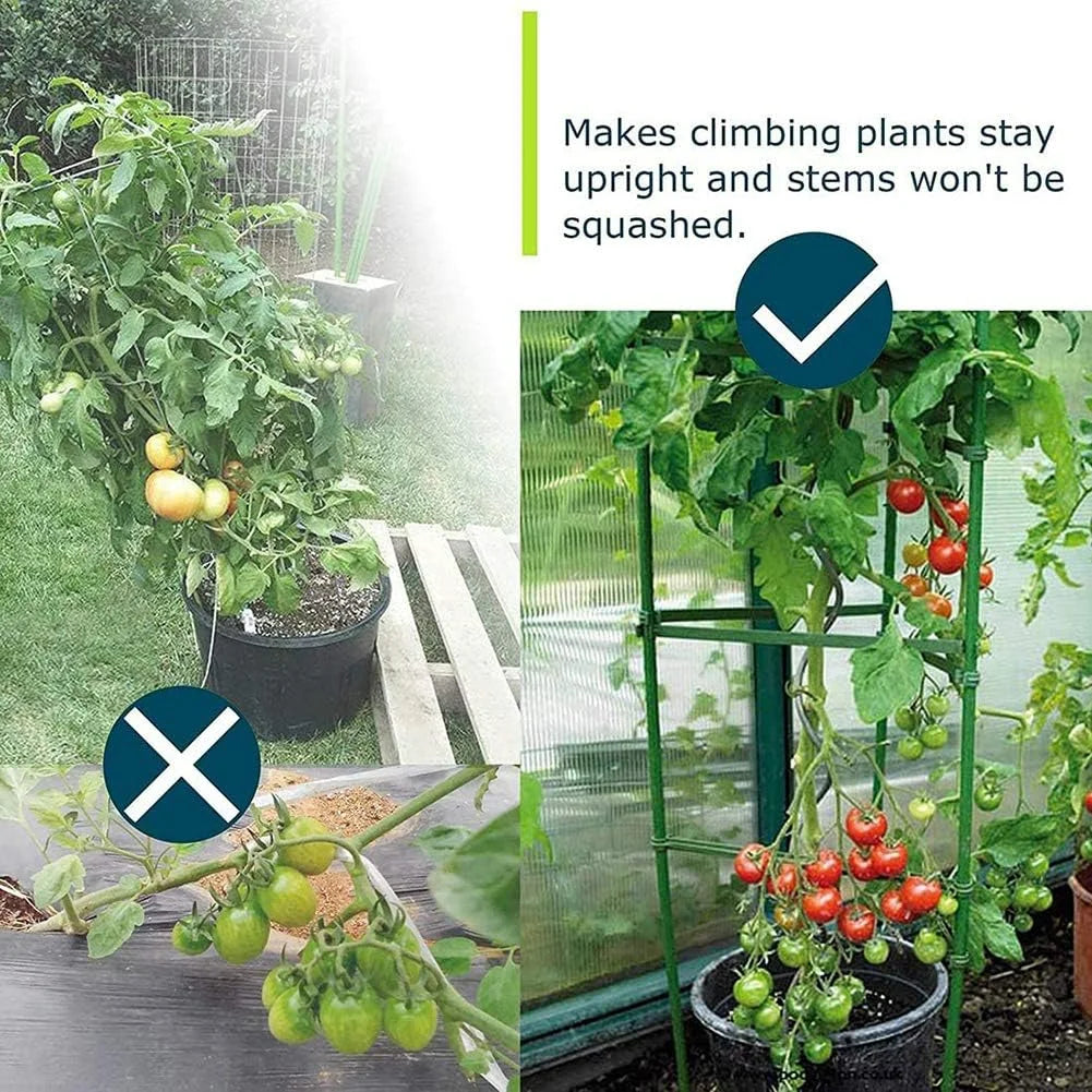 Tomato Cage, Up To 51 Inches Of Plant Stakes Vegetable Grids Assembled For Garden Climbing Plants Vegetables Flowers