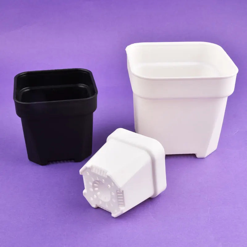 Square succulent planters in black and white, including a small pot with drainage holes