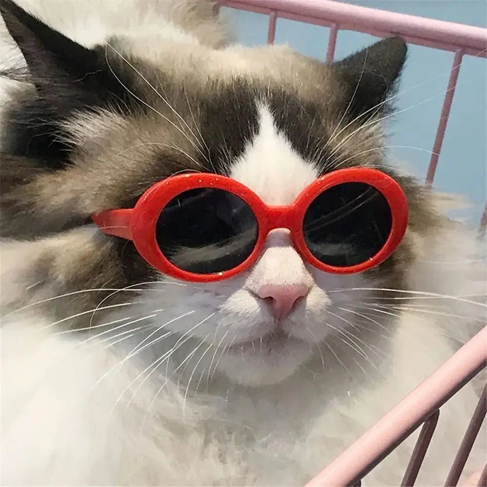 For Blythe Doll Cool Glasses Pet Sunglasses 20cm Dolls Eyeglasses Dress Up Photo Props Doll Accessories Mini