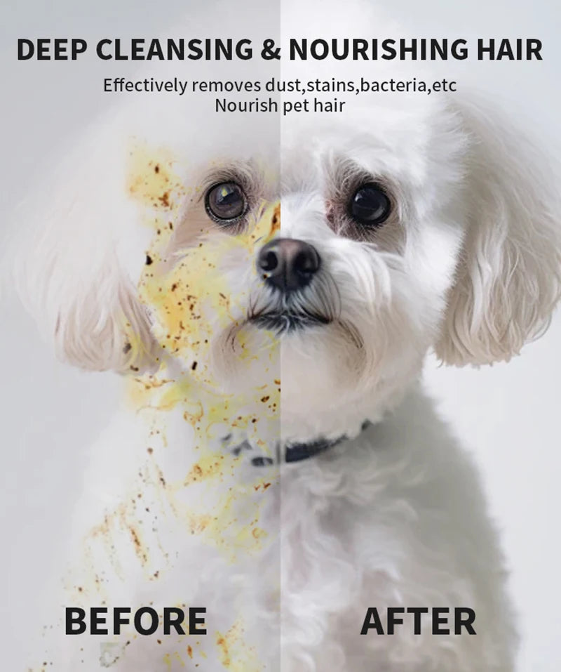 Disposable wash-free pet gloves cleaning a messy white dog, effectively removing stains for a gentle, nourishing bath.