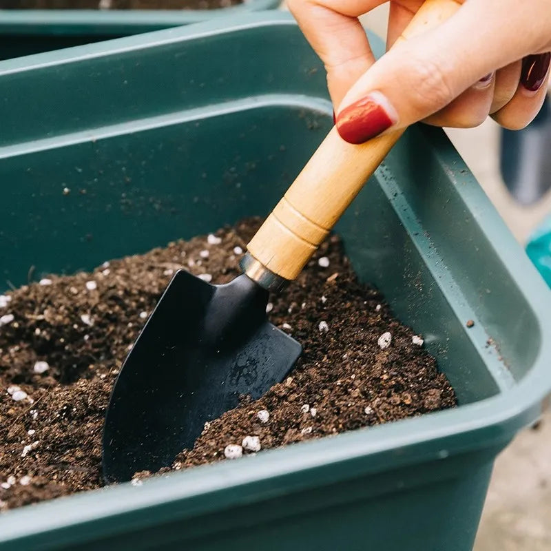3PCS Planting Tools Mini Digging Weeding Garden Tool Set for Indoor Flower Pot Cactus Vegetables Small Plants Garden BZQ01