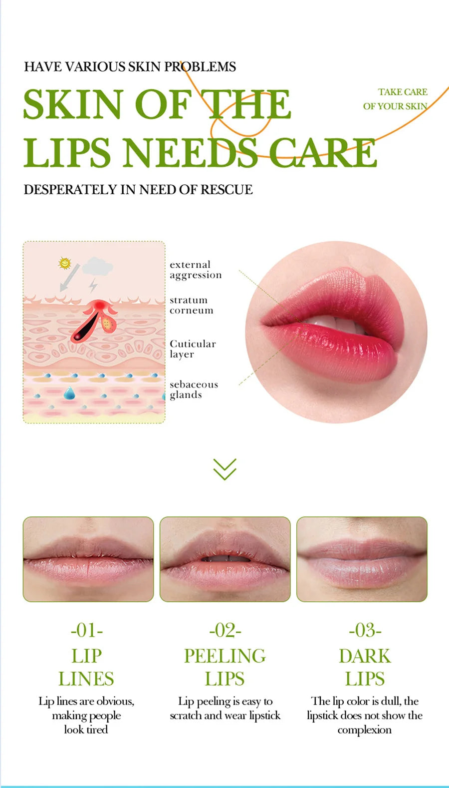 Aloe Vera Lip Balm and Hand Cream Set for Deep Skin Hydration - Cruelty-Free Lip Care Tidesmit