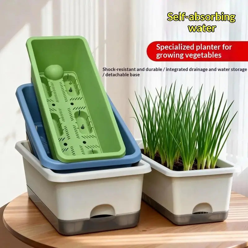 Green and blue self-watering planter setup with wheatgrass in separate pots