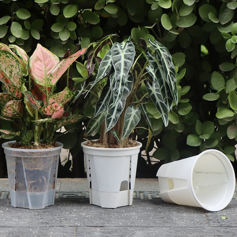 Self Watering Flowerpot Plastic Orchid Pot Double Layer Hydroponic Plant Pot Transparent Round Flower Pot Garden Supplies Decor