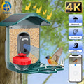 Jooan 4K Solar Bird Feed Camera 2.4G WiFi Outdoor IP Camera Feeder Waterproof HD Bird Video Night Vision Identify Birds Species