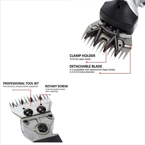 Electric sheep clipper with detachable blade and clamp holder tool detail