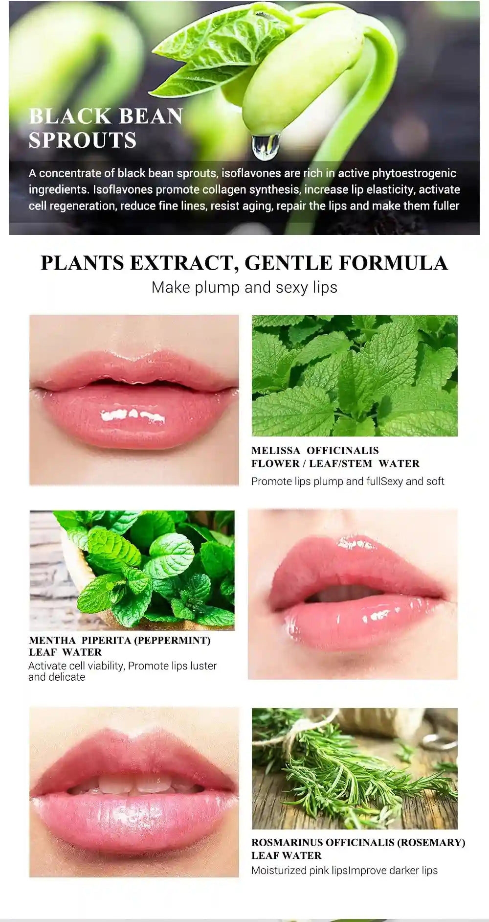 Temperature Changing Hydrating Lip Balm - Nourishing Rose Treatment Lip Care Tidesmit