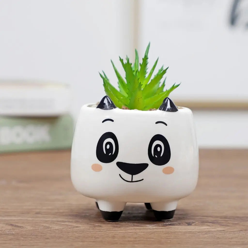 White panda-face ceramic planter with green succulent plant and black ear details