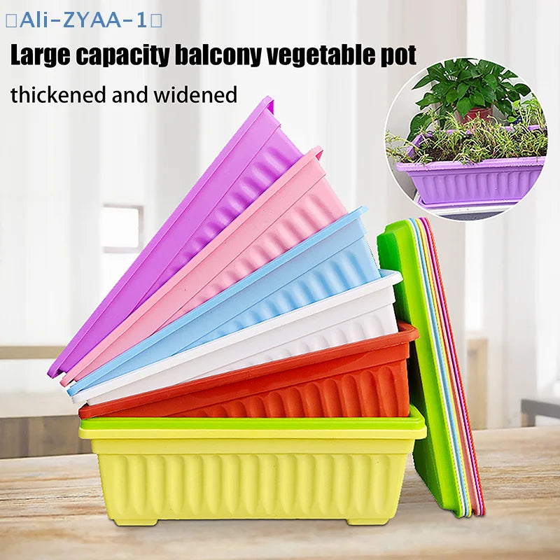 Rectangular plastic vegetable planters in multiple colors with small plants inside