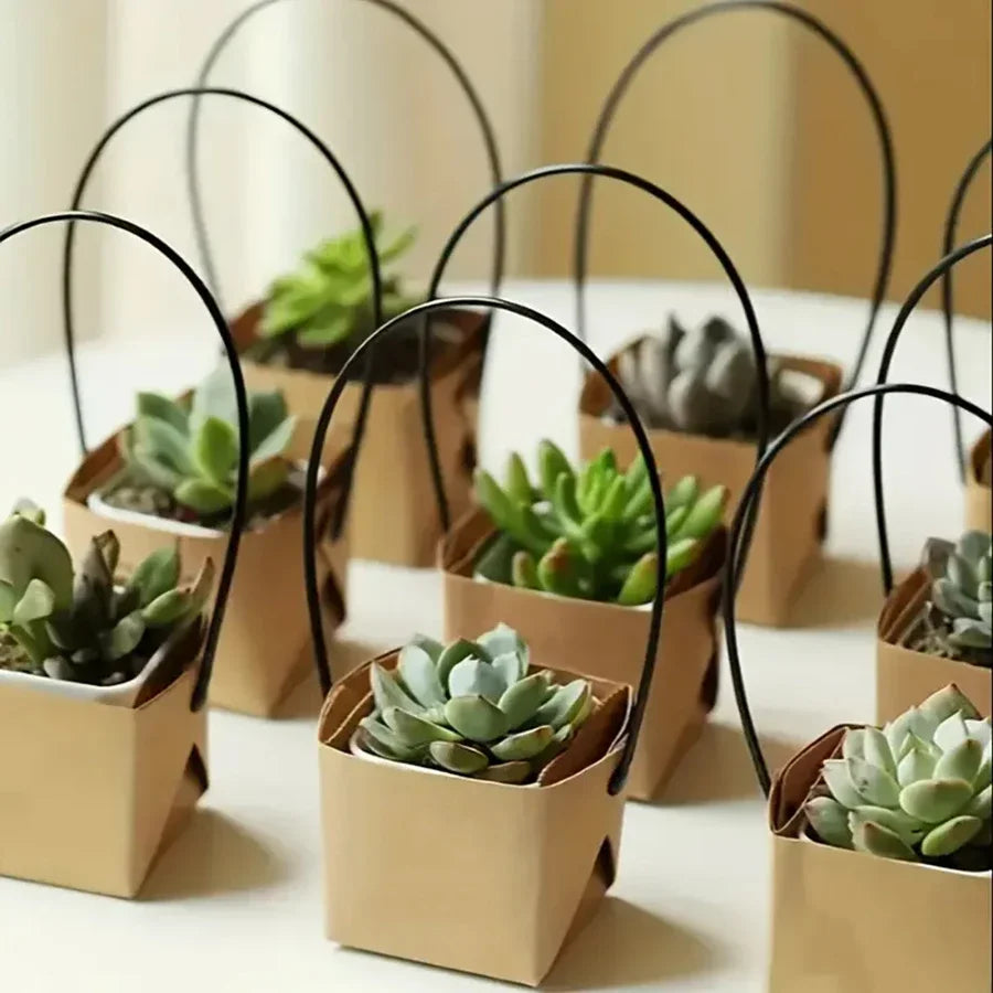 5-20pcs 6cm Kraft Paper Succulent Potted Plant Box Indoor Outdoor Universal Foldable Hanging Potted Plant Box Gardening Tools