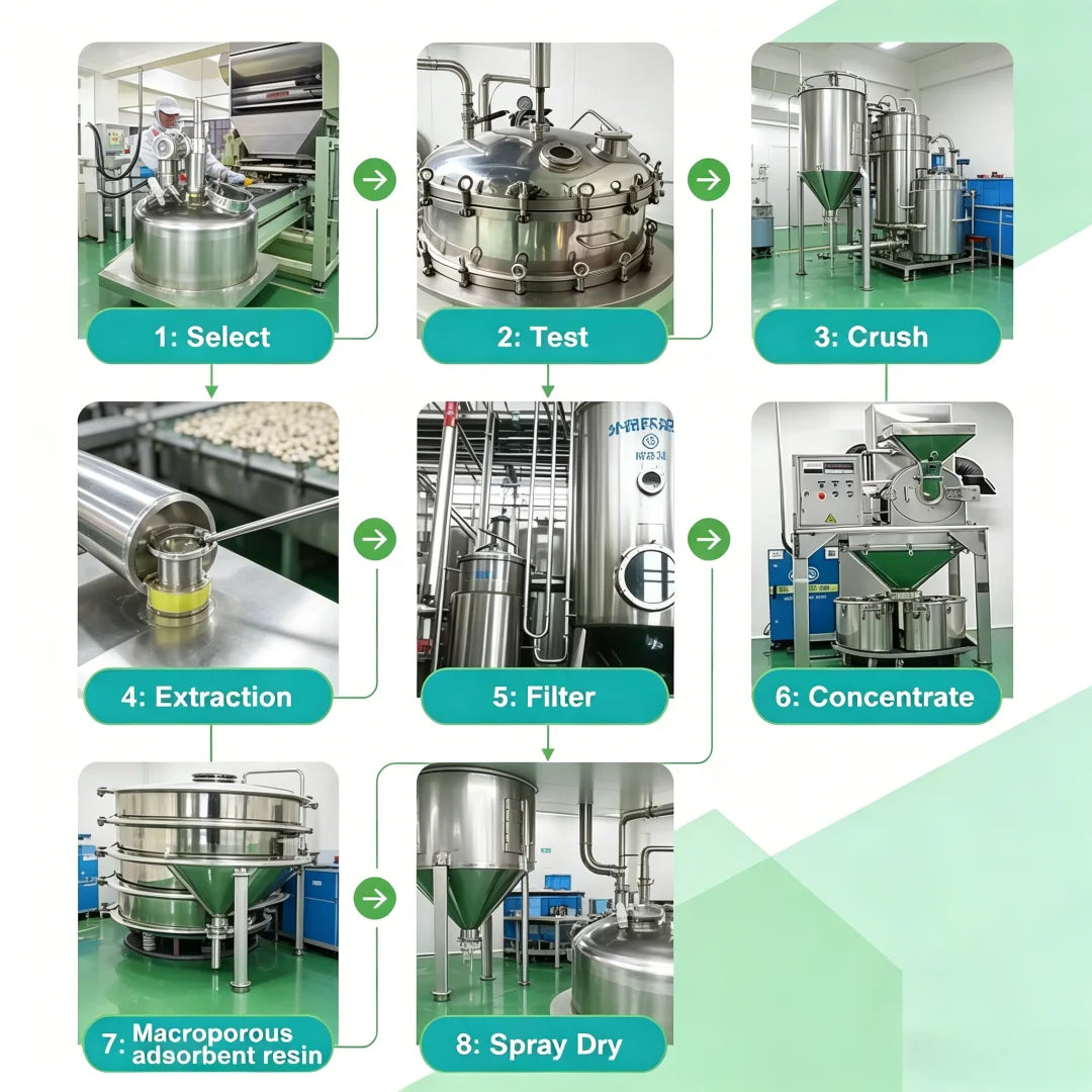 Global Customized Proportion Packaging Lions Mane Mushroom Extract Powder Bulk Hericium Erinaceus Out Packing Aluminum Foil Bag