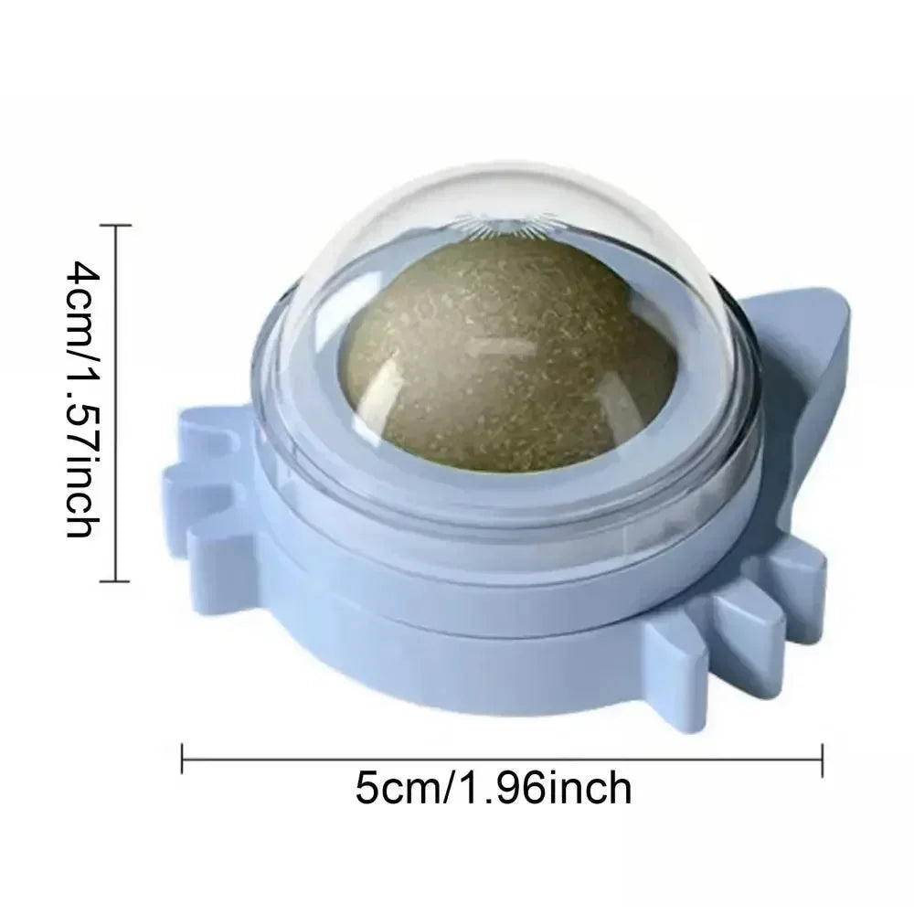 Tidesmit light blue cat-shaped wall-mounted catnip ball toy with a protective clear plastic dome.