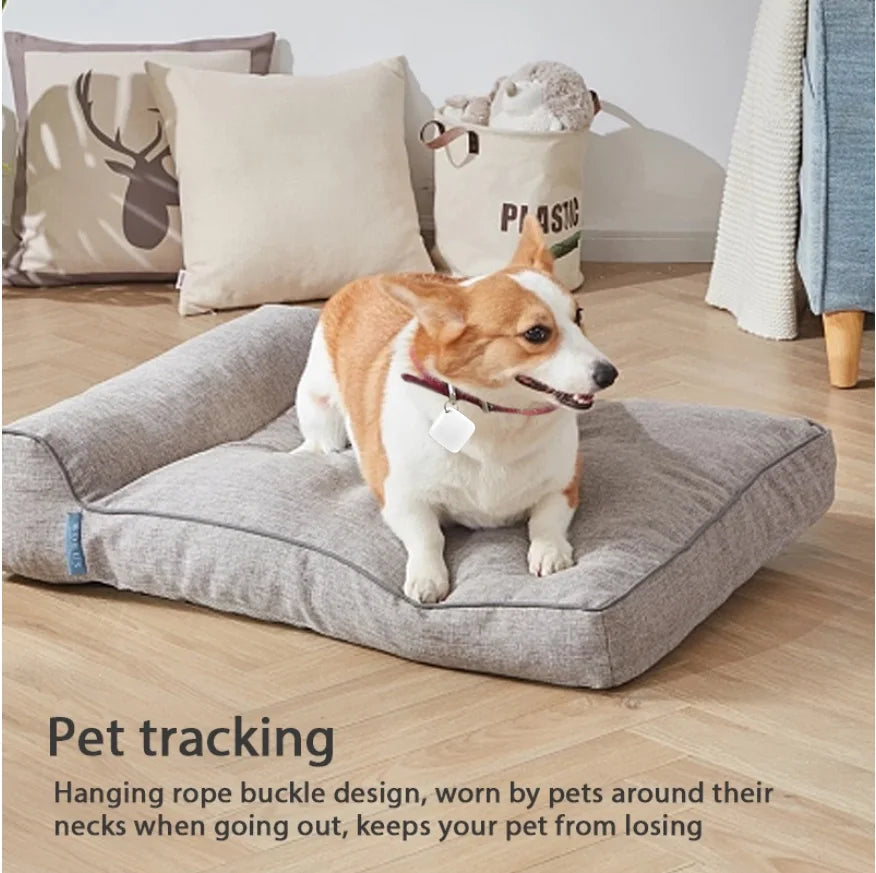 Corgi wearing white smart GPS tracker on collar. Apple Find My compatible Bluetooth tag for accurate pet location.