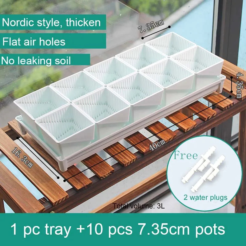 White tray with flat air holes holding 10 plastic 7.35 cm square succulent pots.