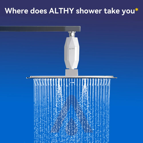 Inline shower water filter connected above a shower head