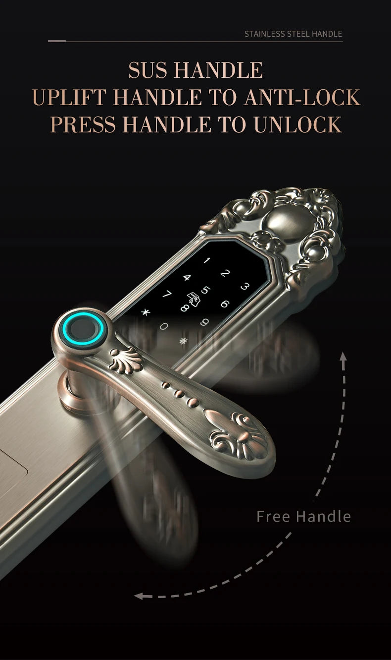 Competitive Price OEM&ODM TT Fingerprint Password Gold Handle Smart Door Handel Lock D30zm