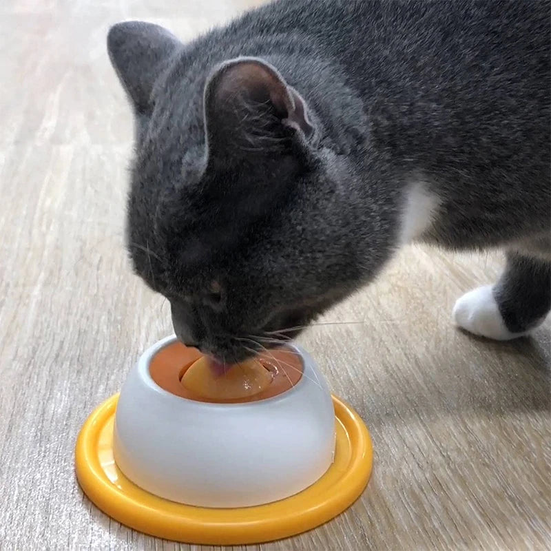 Grey cat licking an interactive dental health slow feeder bowl with a non-slip orange and white base for pet enrichment.