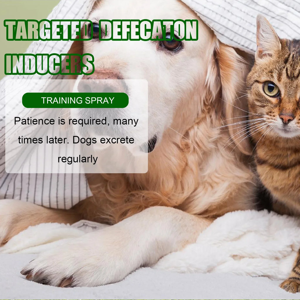 Dog and cat toilet training spray to help pets develop indoor potty habits and targeted defecation.