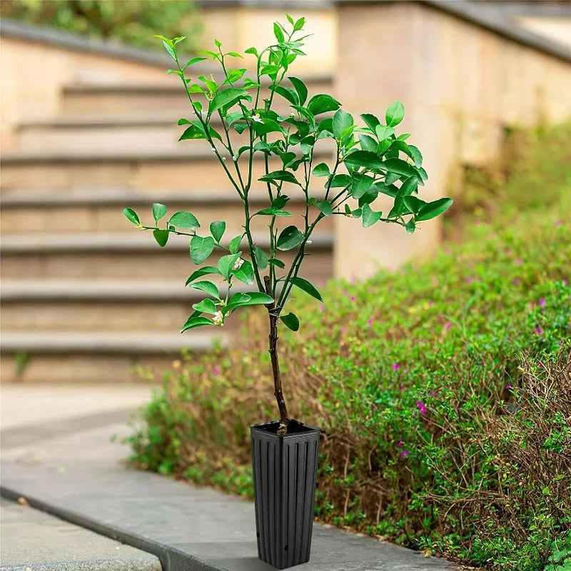 Plastic Deep Plant Nursery Pots Large Seedling Flower Container Starting Pots with Drainage Holes for Indoor Outdoor Gardening
