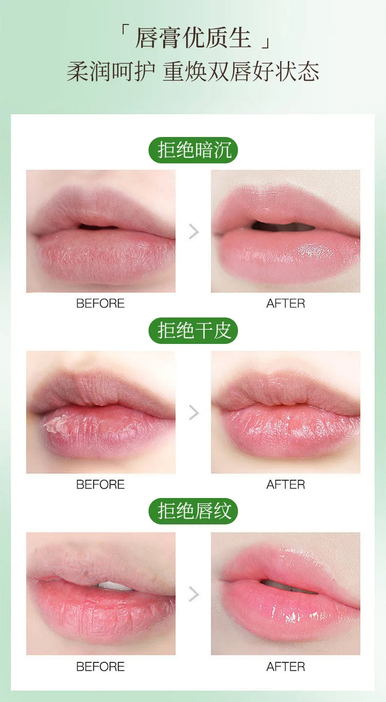 Fruit Lip Balm Set | Nourishing Moisturizing Lip Care Treatment Lip Care Tidesmit
