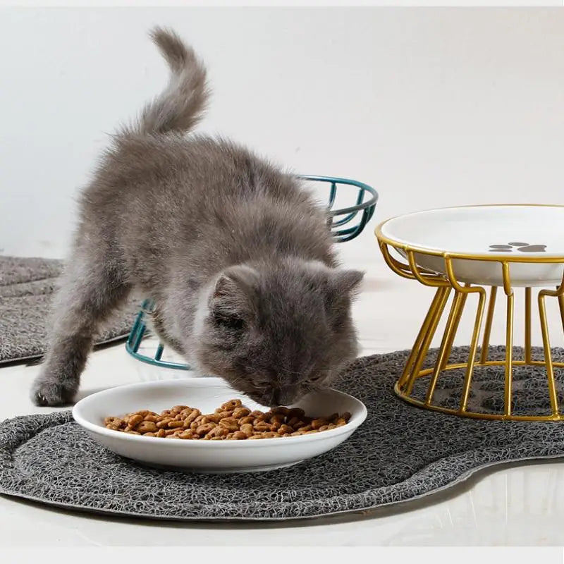 Grey kitten eating from an ergonomic white ceramic raised pet bowl with gold metal stand for easy, healthy feeding.