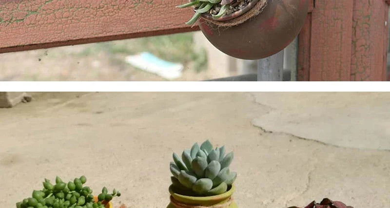 Brown ceramic hanging flowerpot with succulent plants on rope