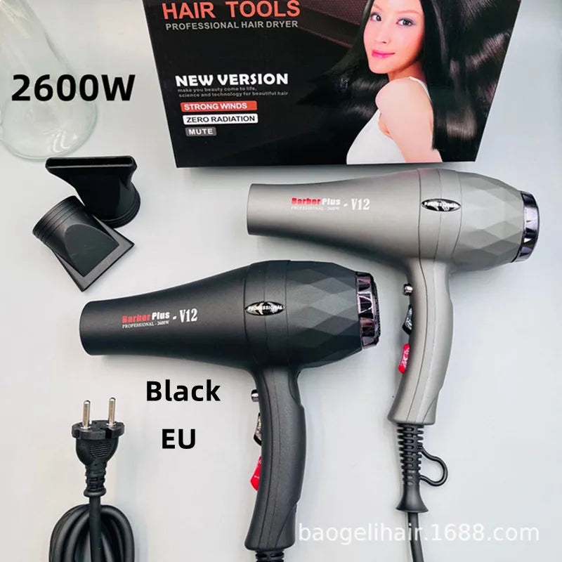 2600W professional hair dryer set in black and grey with concentrator nozzles for quick drying and salon-style hair.