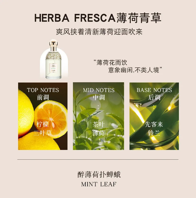 Herba Fresca mint perfume in a round glass bottle, highlighting lemon, tea, mint, and lily of the valley notes.