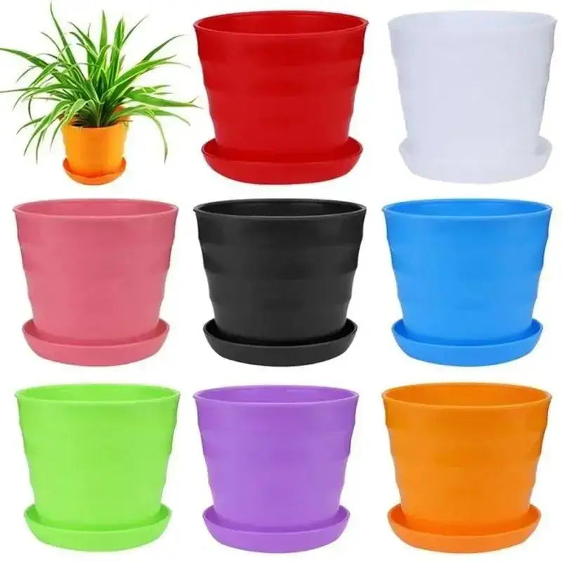 Set of colorful plastic flower pots with small potted plant and assorted colors