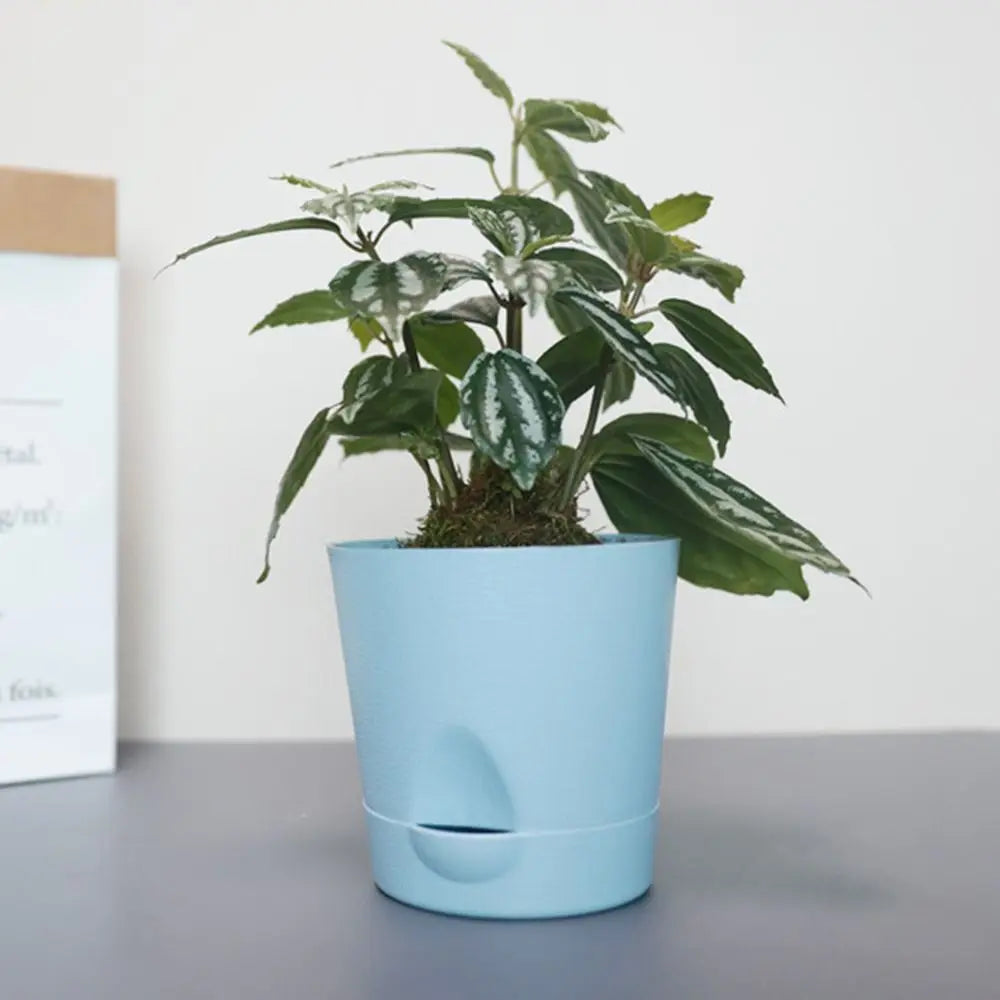 Multicolor Flower Pot Plastic Detachable Base Self-watering Flowerpot Breathable Round Removable Bottom Planter Home Gardening