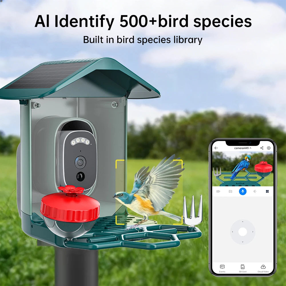 Jooan 4K Solar Bird Feed Camera 2.4G WiFi Outdoor IP Camera Feeder Waterproof HD Bird Video Night Vision Identify Birds Species