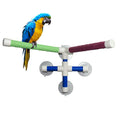 Blue and yellow macaw parrot on a suction cup shower perch with paw-grinding textured bars for bird grooming.