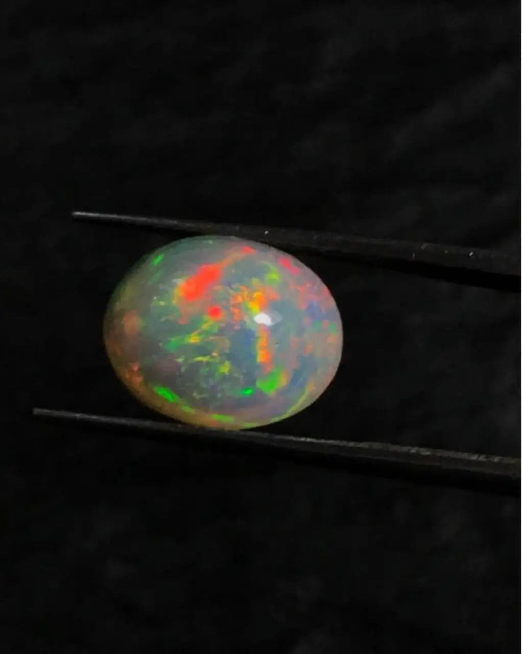 Oval opal cabochon showing green and orange fire, in metal tweezers.