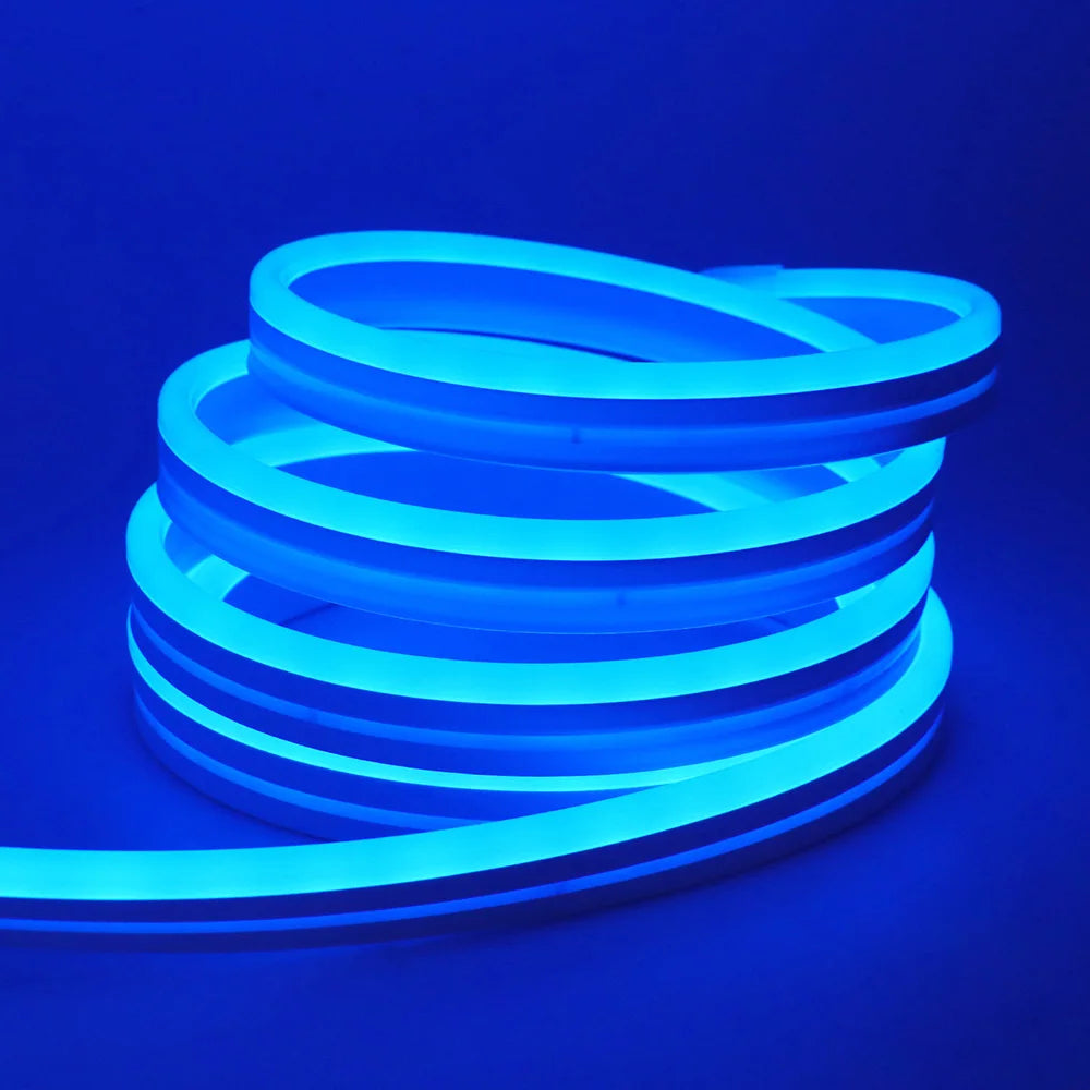 RGB Neon Light LED Rope Light Waterproof APP Remote Control Music Sync 24V Flexible DIY Silicone Strip Light for Indoor Outdoor
