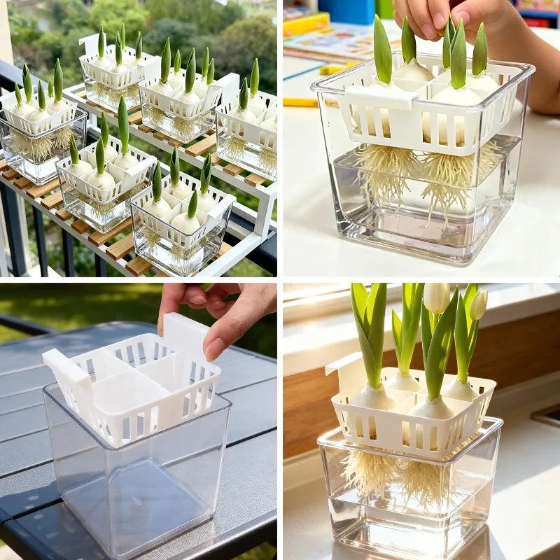 5/1PCS 4 Grids Flower Pot for Hydroponic Tulips Acrylic Breathable Hydroponic Containers for Indoor Gardening Planting Container