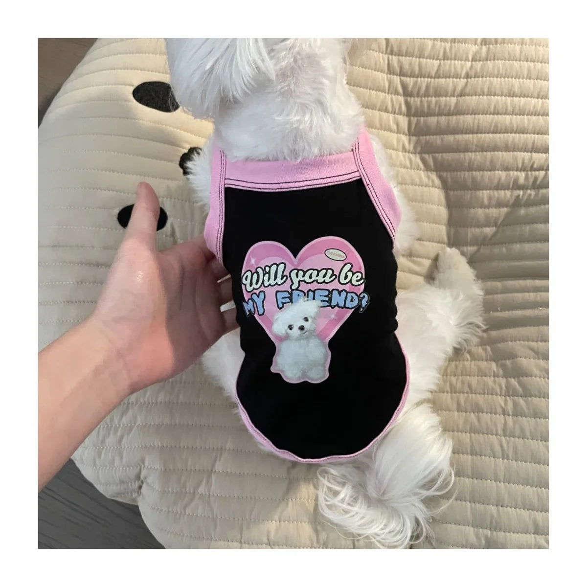 Cute black and pink puppy vest with "Will you be my friend?" print for small dogs like Yorkies or Teddy breeds.