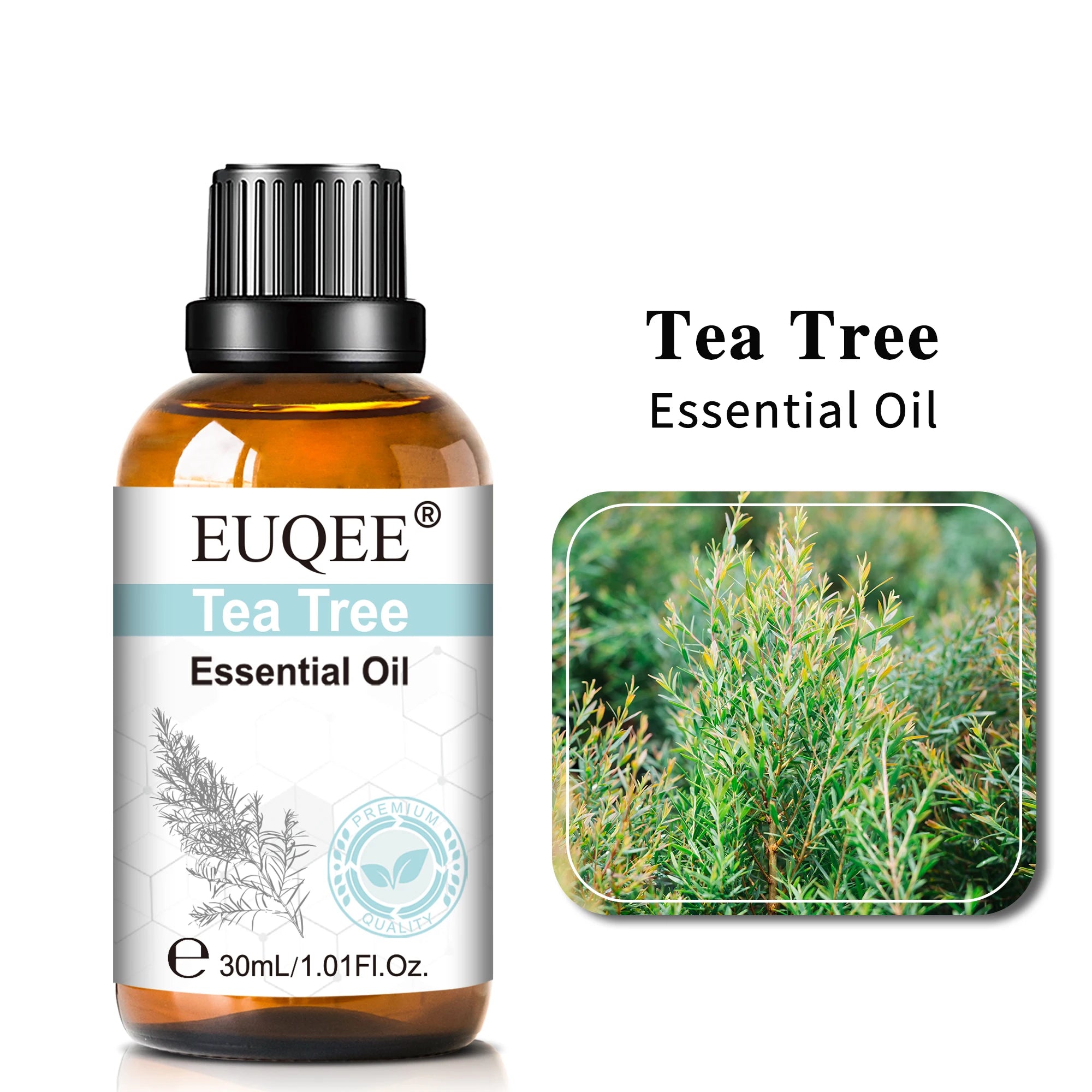 EUQEE 30ml Lavender Aromatherapy Essential Oil Sandalwood Eucalyptus Peppermint Citronella Vanilla Cinnamon Reed Diffuser Oils