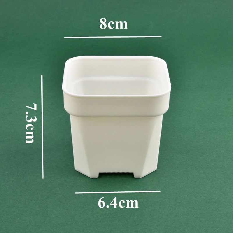 White square plastic planter pot, 8 cm size