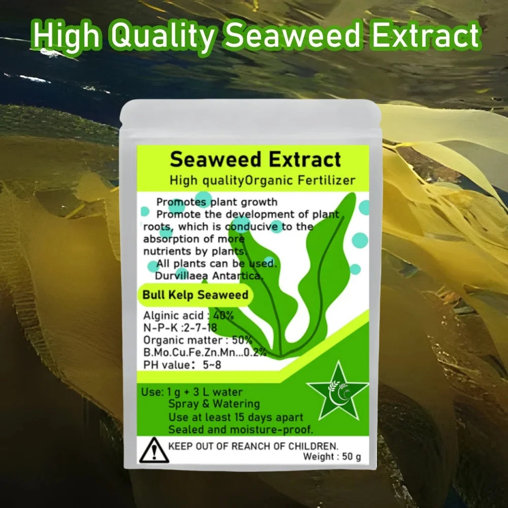 50g Bull Kelp Seaweed Extract Green New Organic Fertilizer Rich In Organic Matter Durvillaea Antartica Material