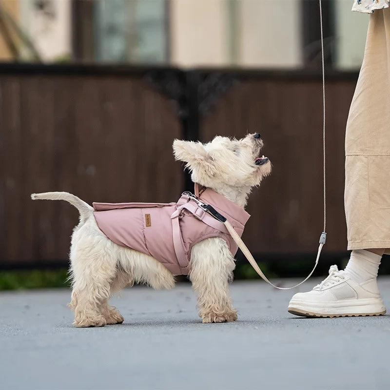 Small dog wearing a warm, pink cotton-padded winter jacket with built-in harness for cozy outdoor walks.