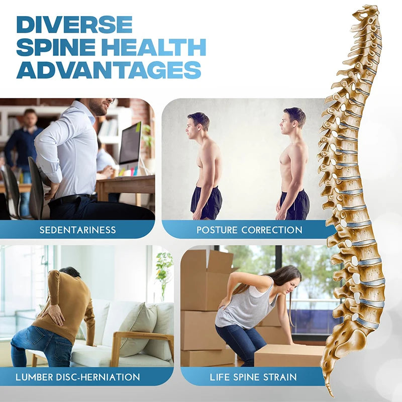 Back Stretcher Adjustable Lumbar Support - Ergonomic Spine Relief Device Back Massage Instrument Tidesmit