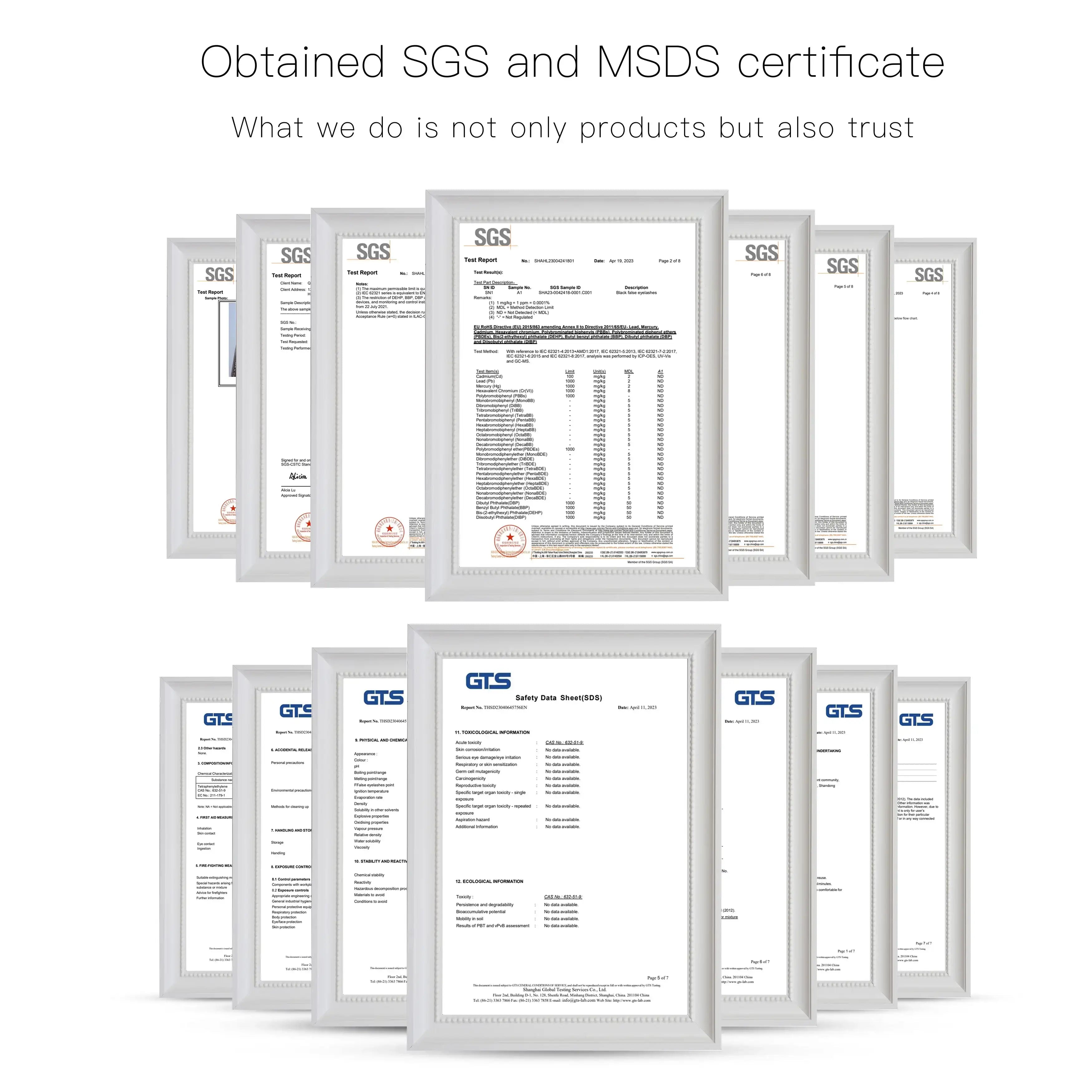 Multiple SGS test reports and safety data sheets in white frames arranged in two rows.