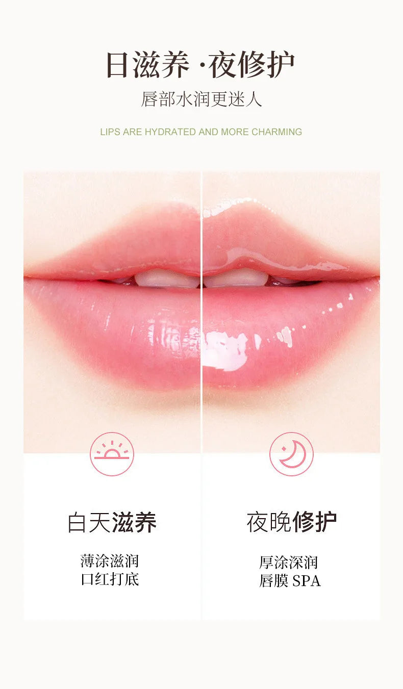Fruit Lip Balm Set | Nourishing Moisturizing Lip Care Treatment Lip Care Tidesmit