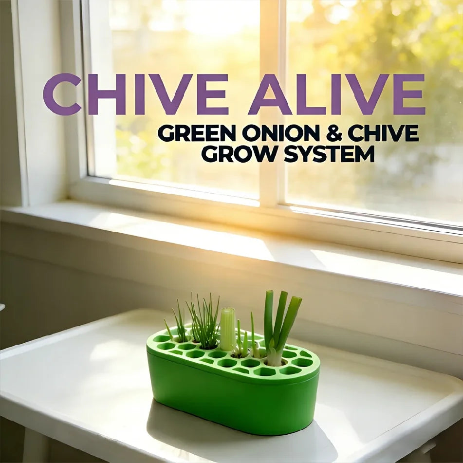 Green Onion Regrow Kit Easy Home Gardening for Balcony Windowsill Fast Regrowth Continuous Harvest